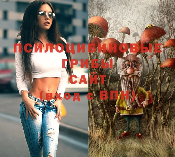 шишки Алексин