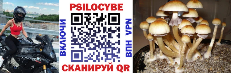 Псилоцибиновые грибы мухоморы Тюкалинск